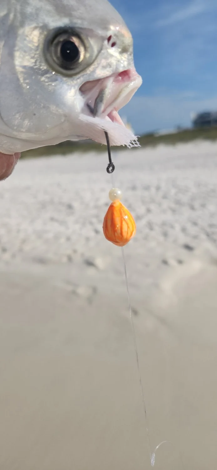 Pompano with an orange hand-painted rig